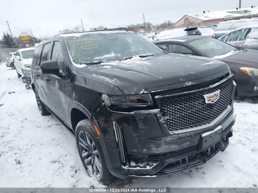 2023 Cadillac Escalade Esv VIN: 1GYS4RKT9PR174089 Lot: 12186899