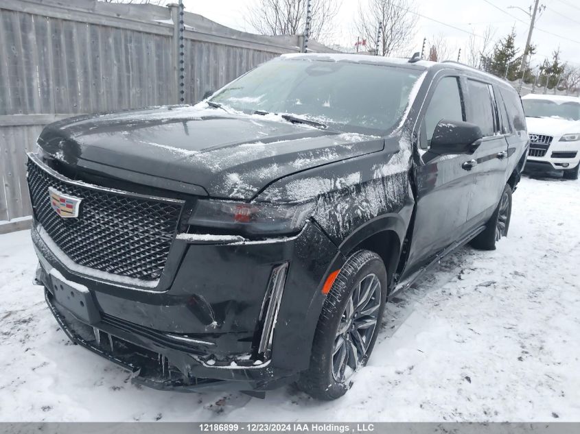 2023 Cadillac Escalade Esv VIN: 1GYS4RKT9PR174089 Lot: 12186899