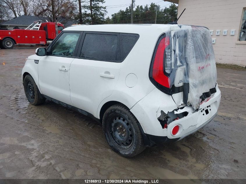 2019 Kia Soul VIN: KNDJP3A51K7910892 Lot: 12186913