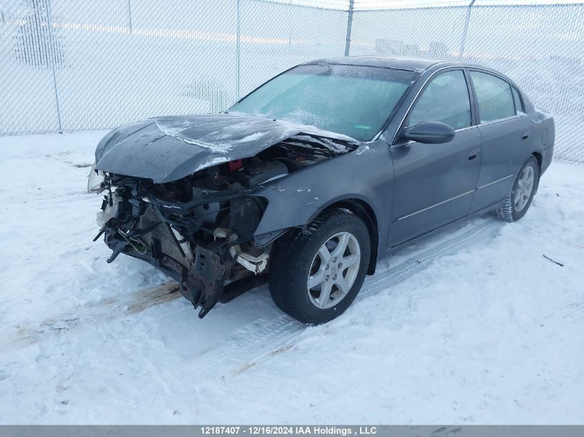 2005 Nissan Altima S/Sl VIN: 1N4AL11E35C283176 Lot: 12187407