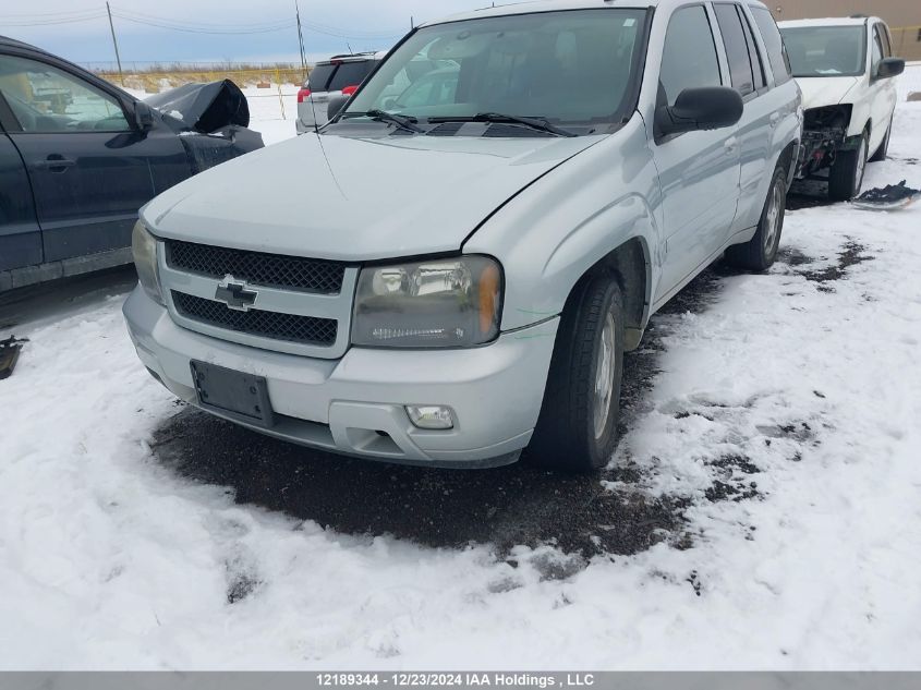 2007 Chevrolet Trailblazer VIN: 1GNDT13S672151765 Lot: 12189344