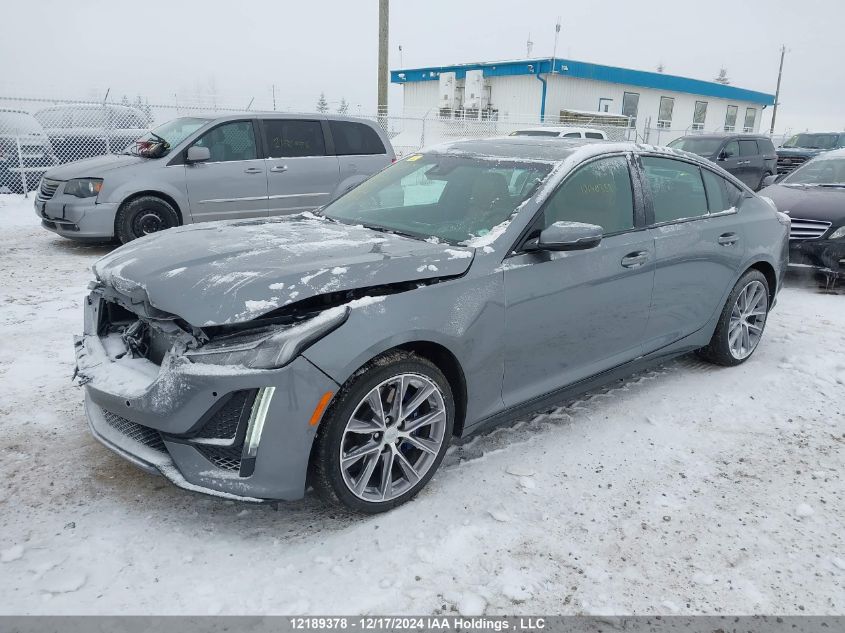 2020 Cadillac Ct5 VIN: 1G6DU5RK2L0125726 Lot: 12189378