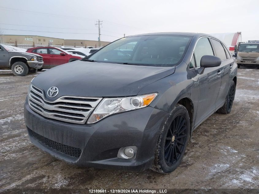 2010 Toyota Venza VIN: 4T3BK3BBXAU030364 Lot: 12189681