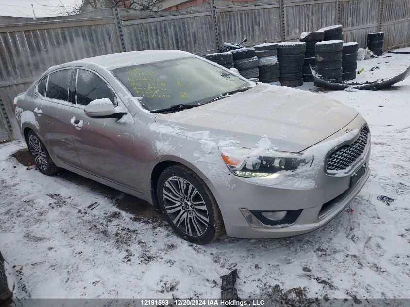 2014 Kia Cadenza VIN: KNALN4D70E5120174 Lot: 12191593