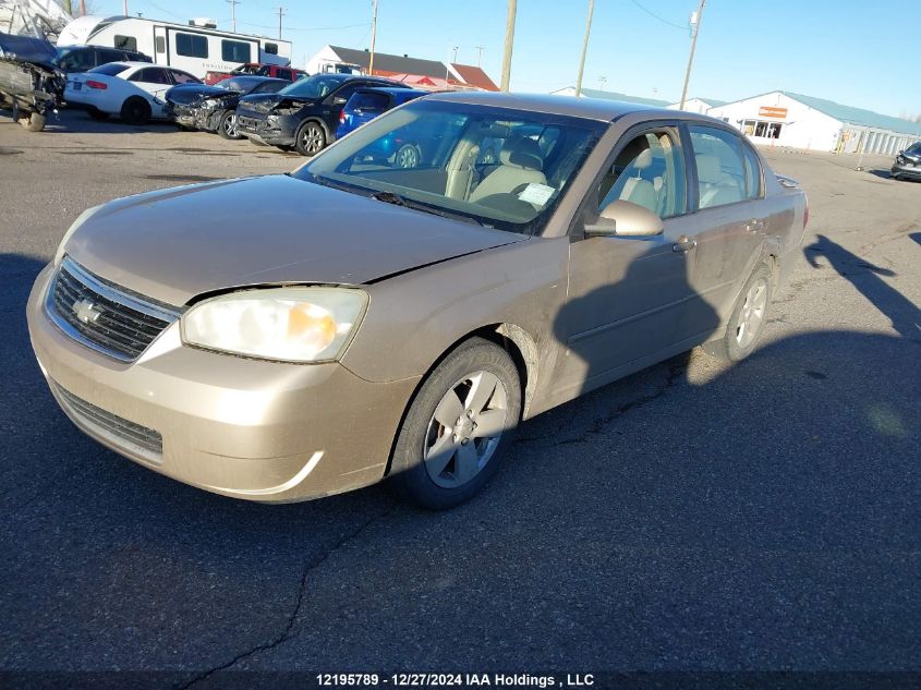 2007 Chevrolet Malibu Lt VIN: 1G1ZT58N17F212594 Lot: 12195789