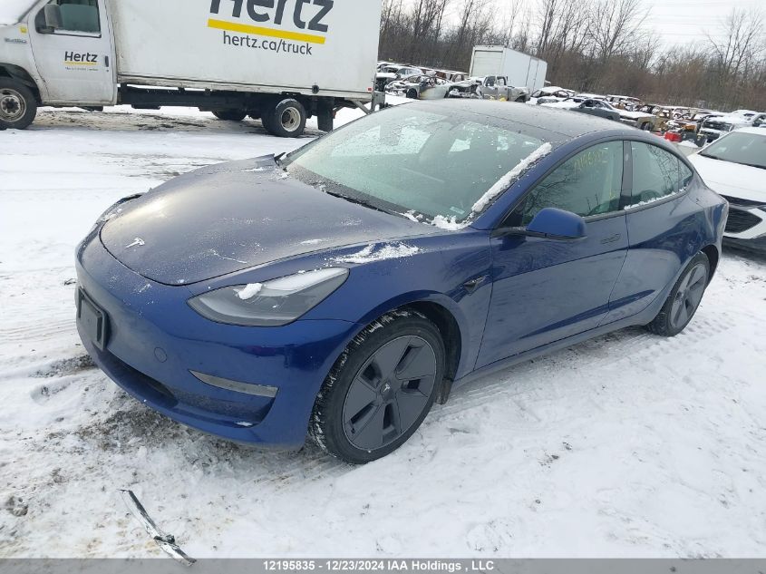 2023 Tesla Model 3 VIN: 5YJ3E1EB2PF389945 Lot: 12195835