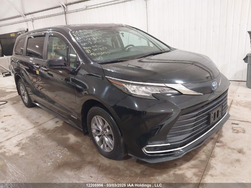 2021 Toyota Sienna Le/Xle/Xse/Limited/Platinum VIN: 5TDGRKEC7MS071668 Lot: 12205956