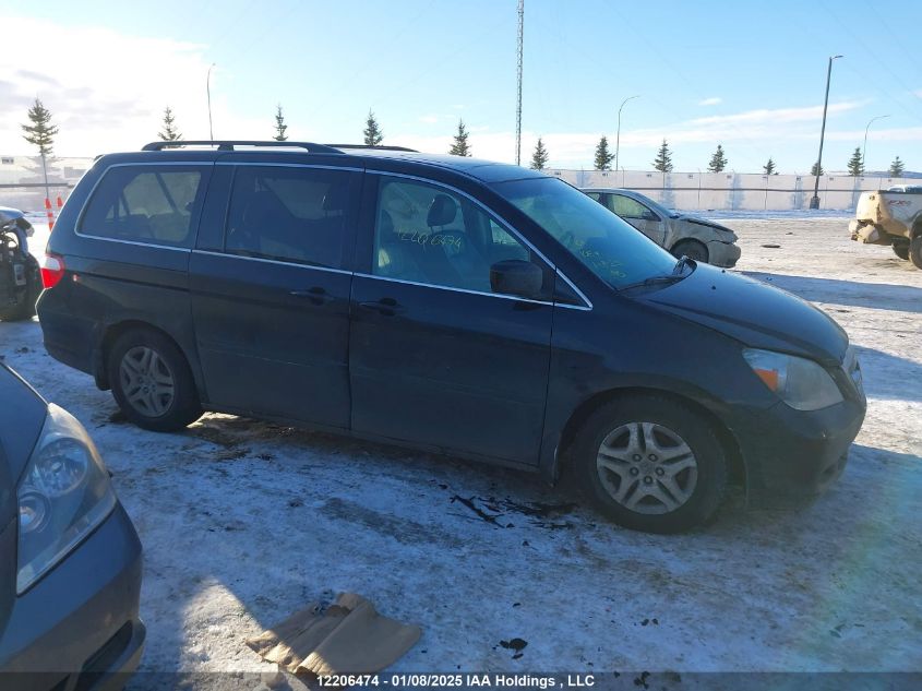 2007 Honda Odyssey Exl VIN: 5FNRL38787B511596 Lot: 12206474