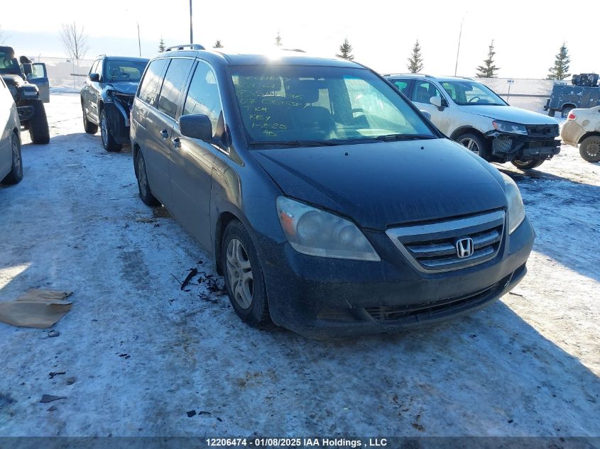 2007 Honda Odyssey Exl VIN: 5FNRL38787B511596 Lot: 12206474