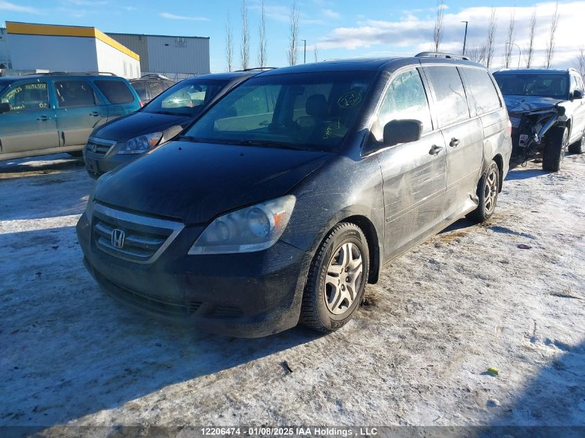 2007 Honda Odyssey Exl VIN: 5FNRL38787B511596 Lot: 12206474