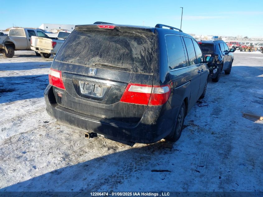 2007 Honda Odyssey Exl VIN: 5FNRL38787B511596 Lot: 12206474