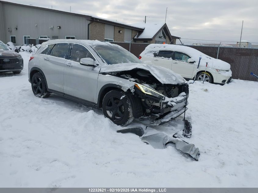 2021 Infiniti Qx50 Luxe VIN: 3PCAJ5BB2MF116319 Lot: 12232621