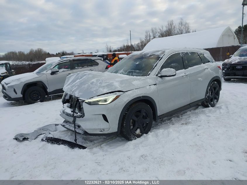 2021 Infiniti Qx50 Luxe VIN: 3PCAJ5BB2MF116319 Lot: 12232621