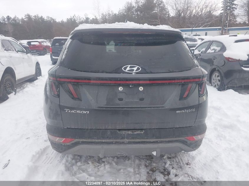 2023 Hyundai Tucson Ultimate Hybrid Awd VIN: KM8JCCA16PU115933 Lot: 12234097