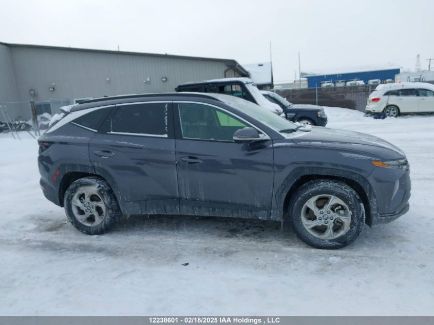 2024 Hyundai Tucson VIN: KM8JCCDE3RU338724 Lot: 12238601