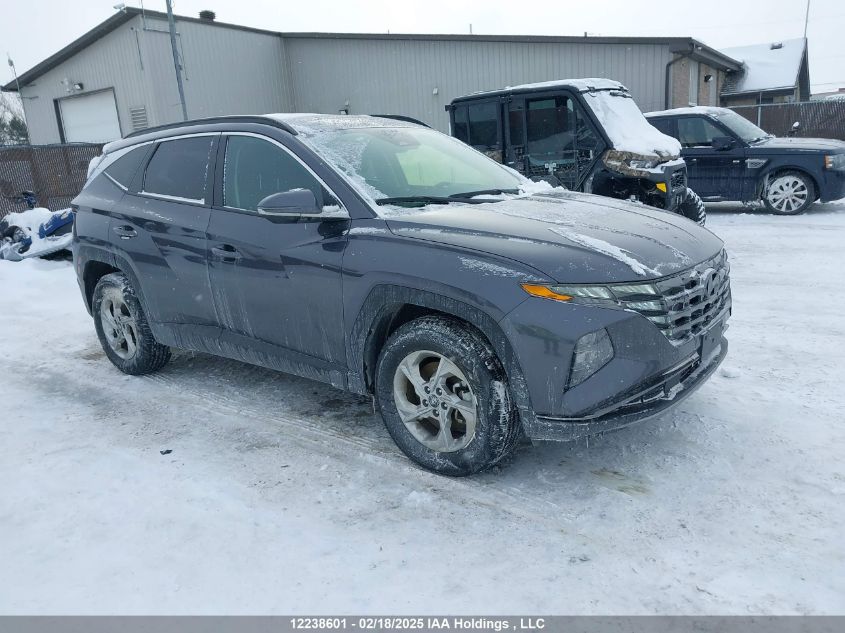 2024 Hyundai Tucson VIN: KM8JCCDE3RU338724 Lot: 12238601