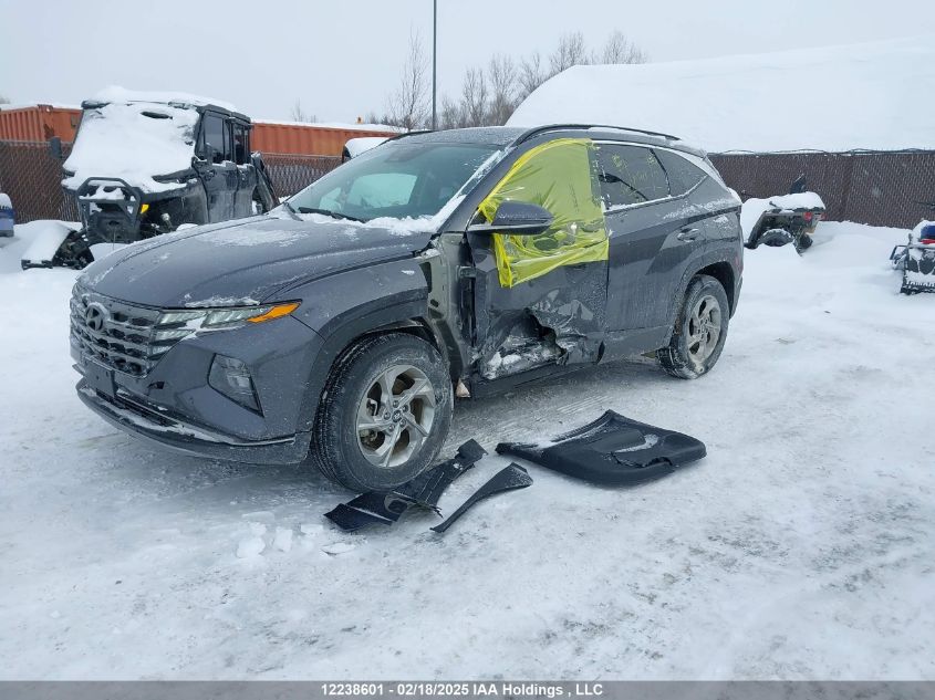 2024 Hyundai Tucson VIN: KM8JCCDE3RU338724 Lot: 12238601