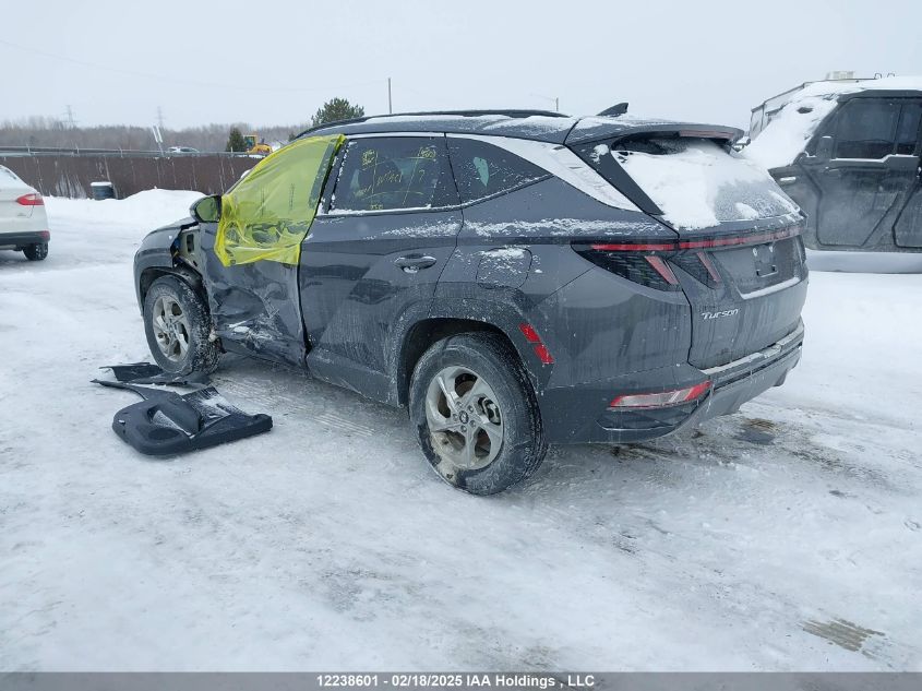 2024 Hyundai Tucson VIN: KM8JCCDE3RU338724 Lot: 12238601