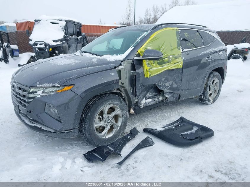 2024 Hyundai Tucson VIN: KM8JCCDE3RU338724 Lot: 12238601