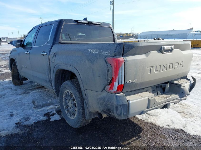 2022 Toyota Tundra Crewmax Limited/Crewmax Trd Pro VIN: 5TFJC5DB5NX006993 Lot: 12255456